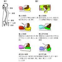 カイロプラクティック・エデン　枕について