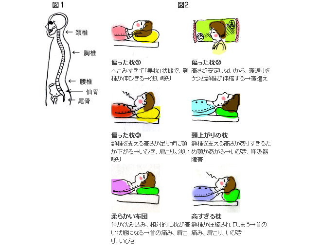 カイロプラクティック・エデン　枕について