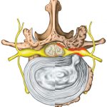 shutterstock_268199642